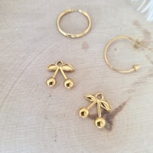 Charm acier cerise or